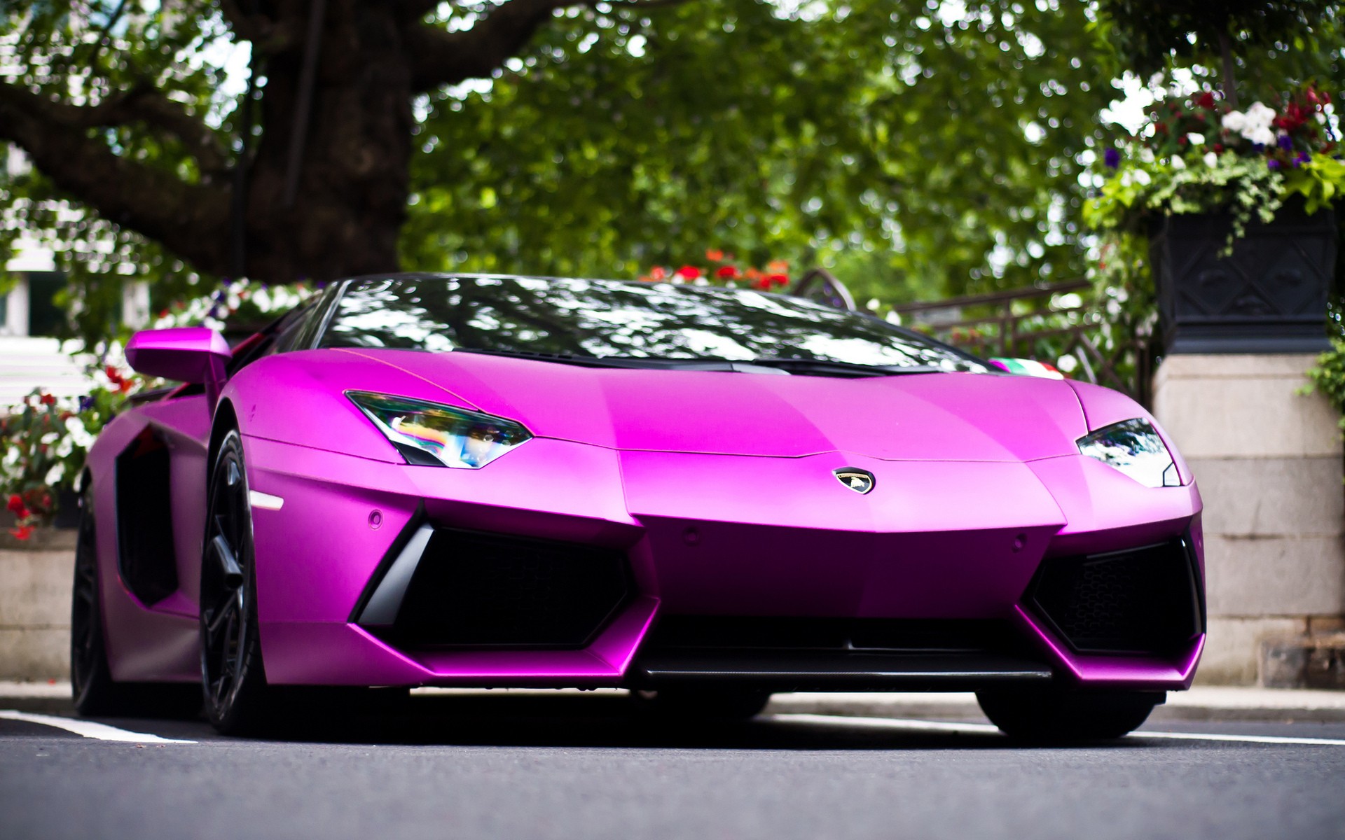 Featured image of post Girly Lamborghini Wallpaper Pink