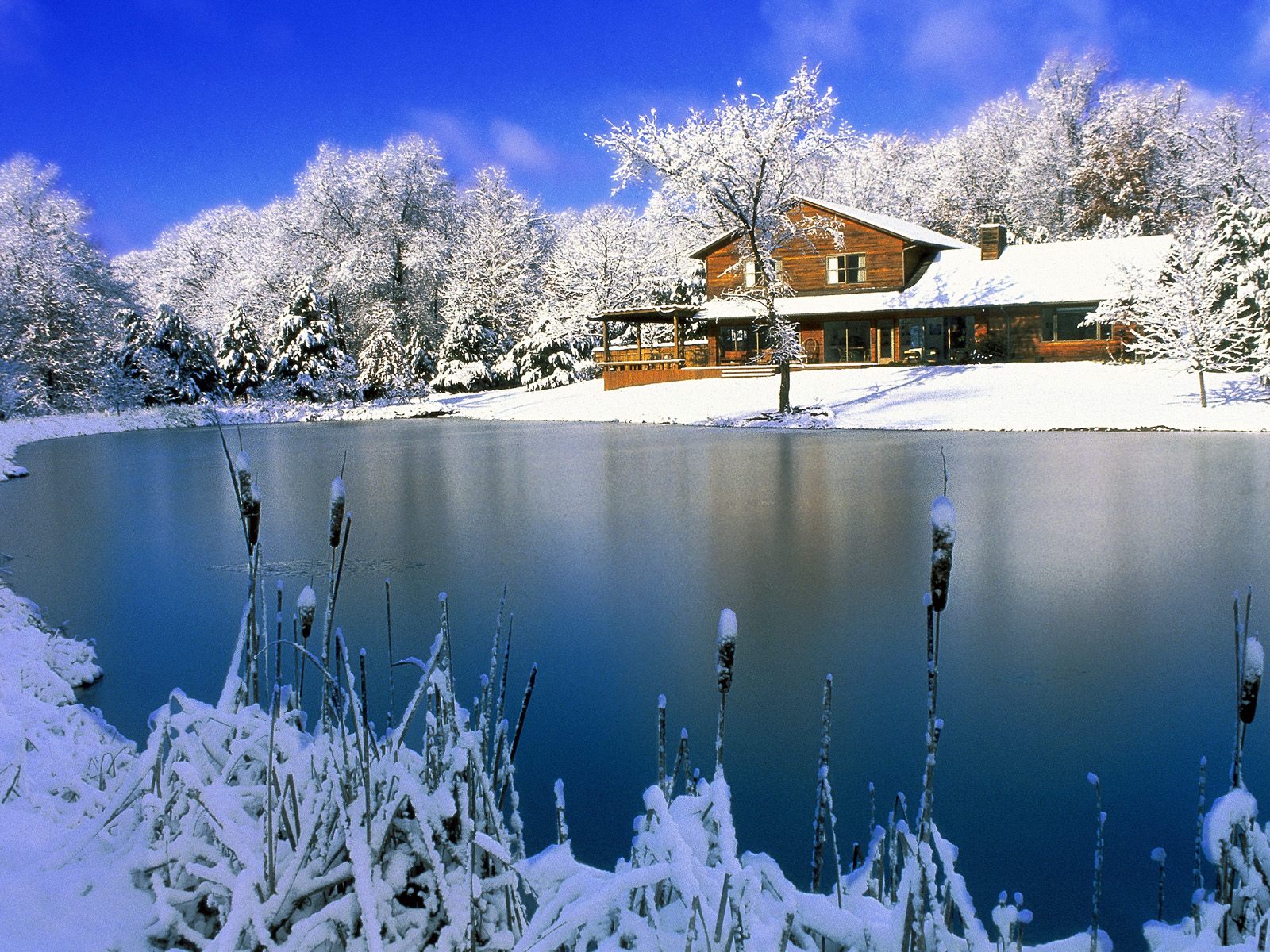 HD Christmas Snow Scene Wallpaper