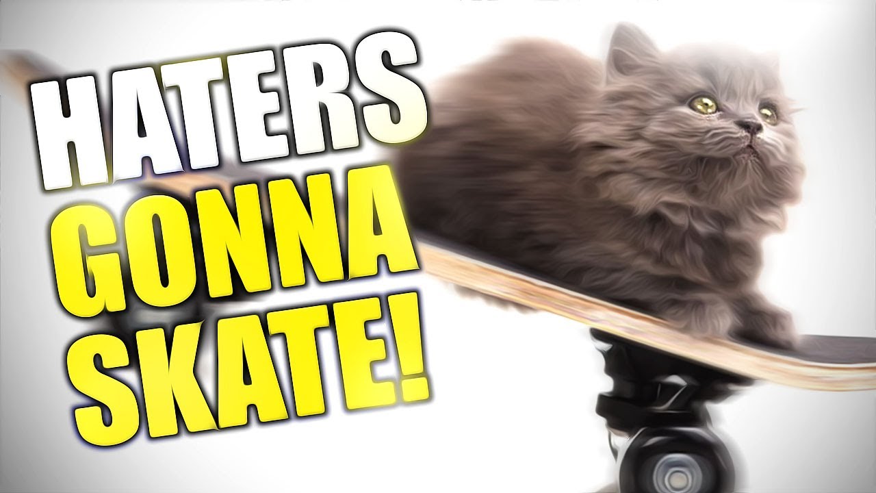 Terms Skate Wallpaper HD Funny Moments
