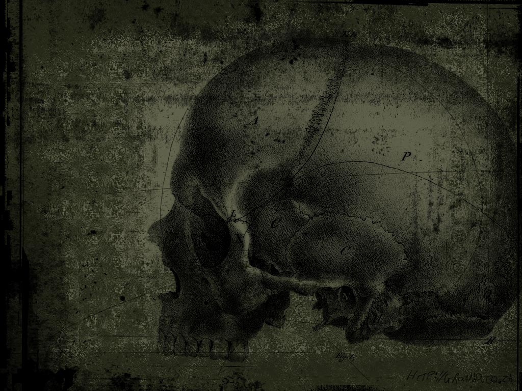 Scary Skulls Wallpaper Dark Side Skull