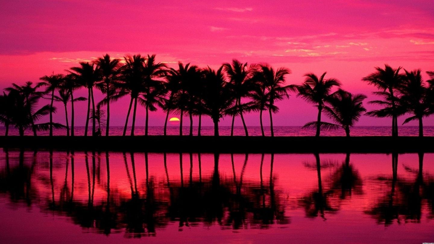Pink Beach Sunset HD Fondos De Pantallas Background In Nature