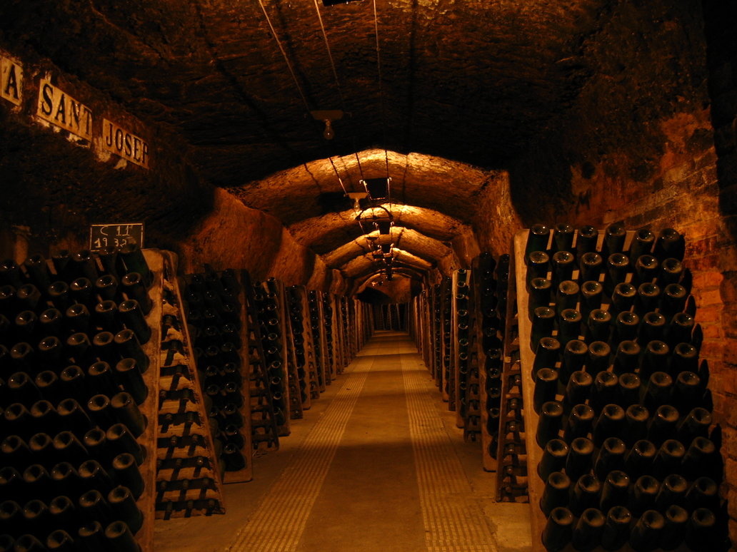 wine cellar 03 by restmlinstock on