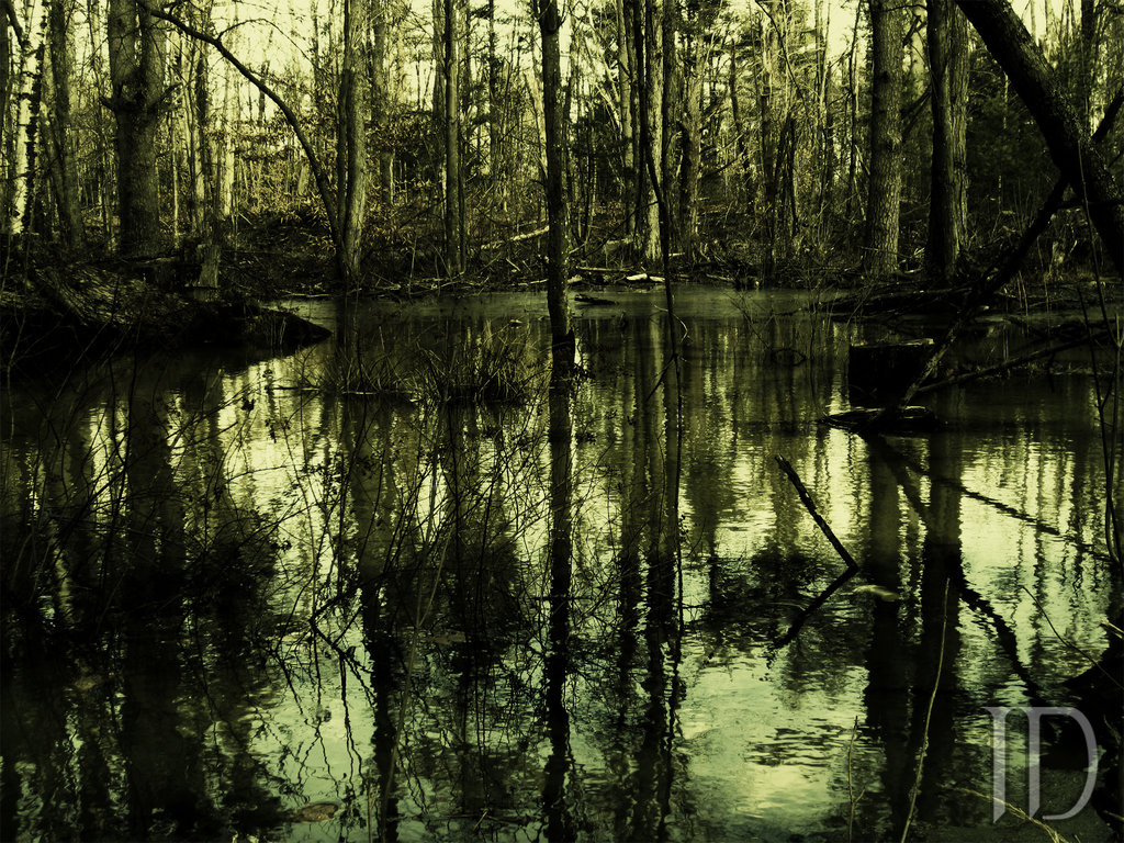Swamp People Wallpaper Dark swamp by impris0n3d