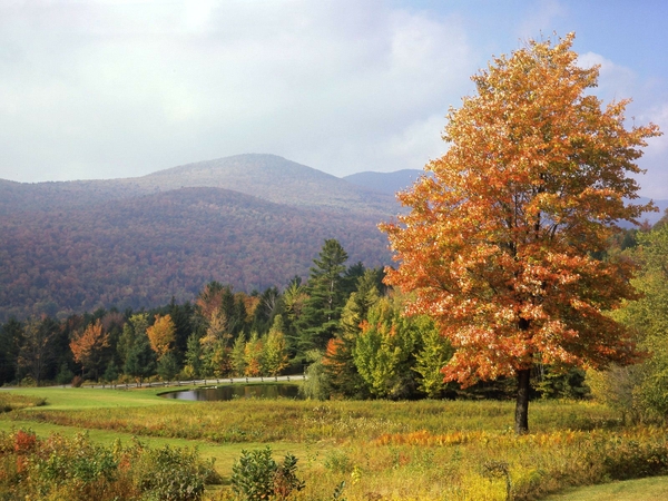 Autumn Season Vermont Mount Wallpaper