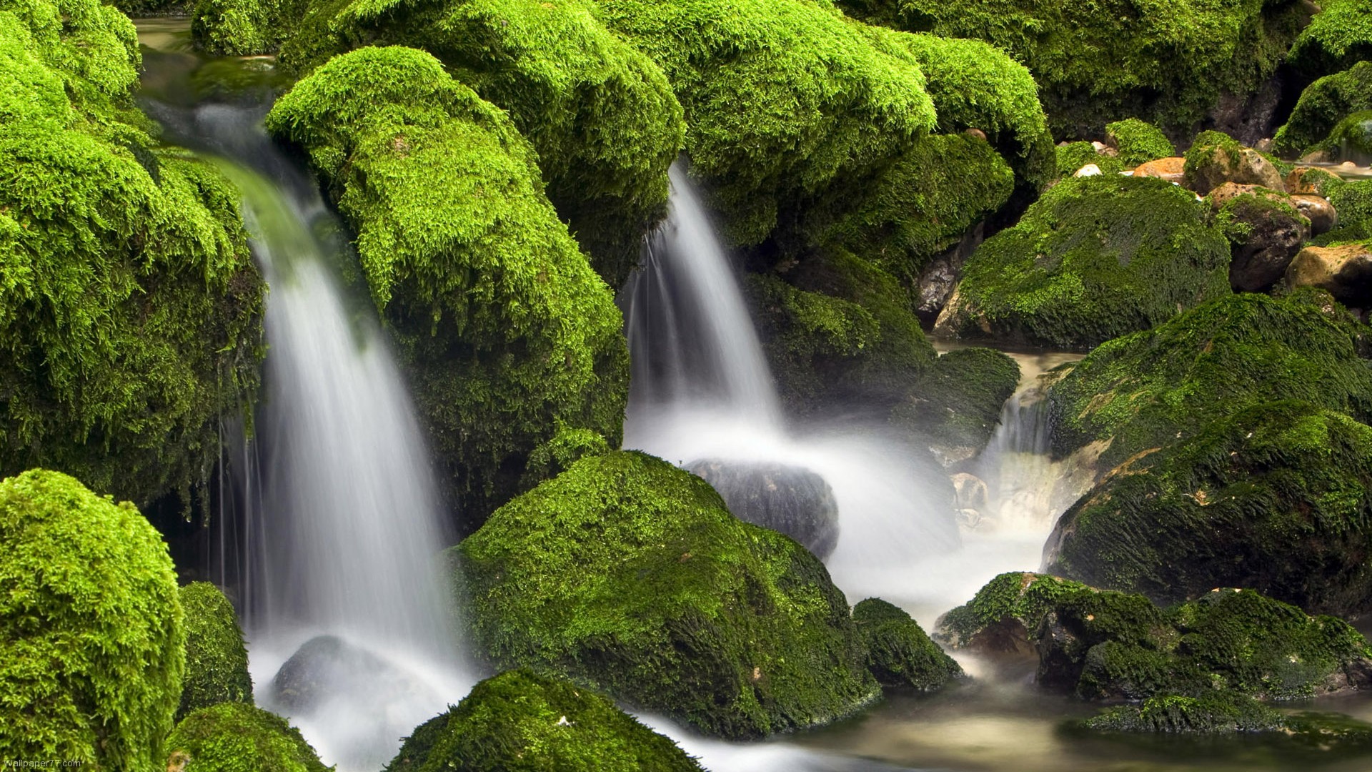 Waterfalls Green Waterfall Wallpaper Forest Cascade