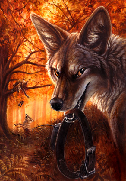 New Coyote By Kenket