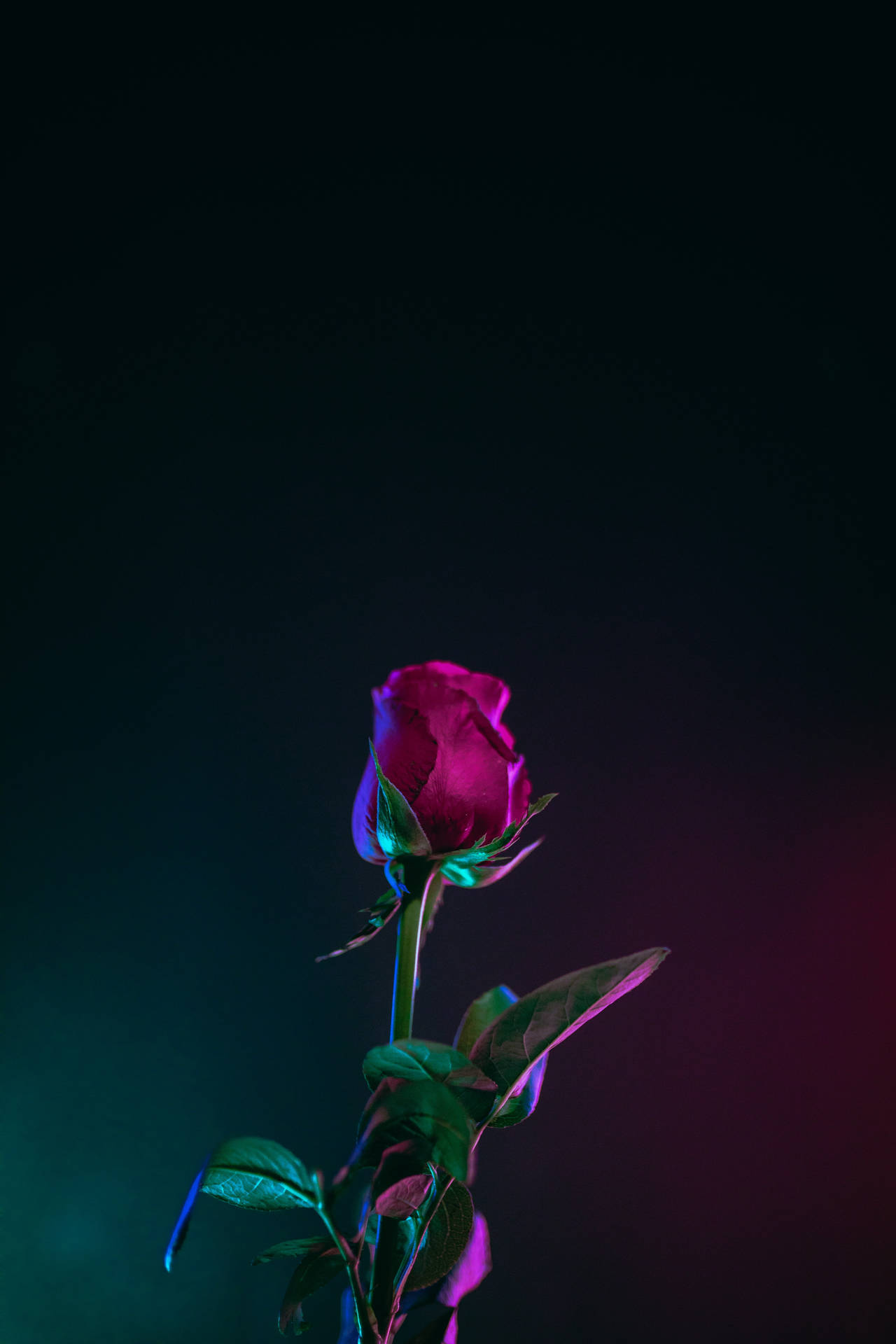 4k iPhone Wallpaper