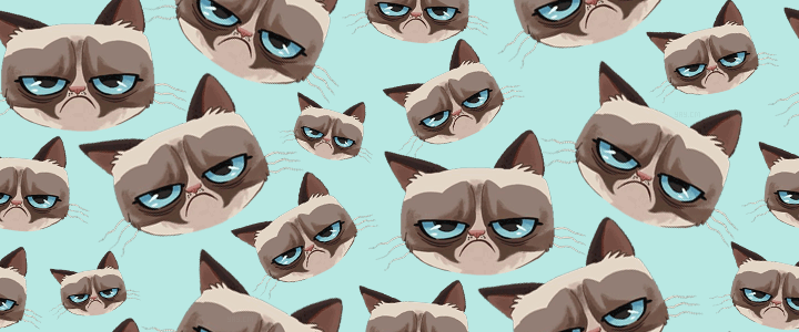 Grumpy Cat Background HD Wallpaper On Picsfair