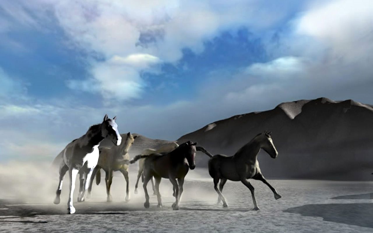 Pin 3d Running Horse Wallpaper For X Retina Display On