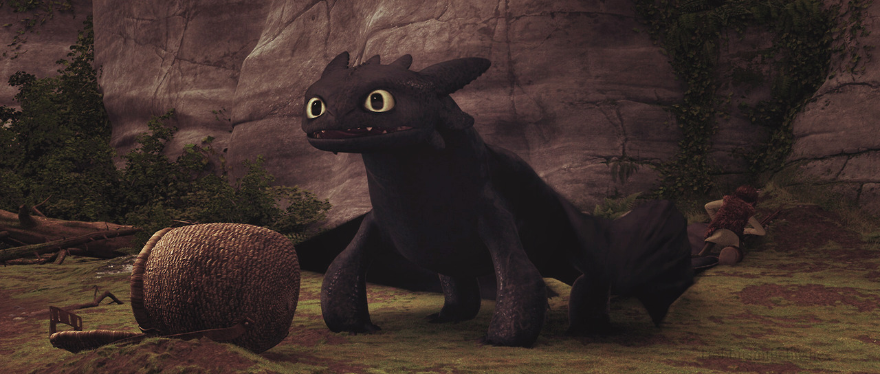 Toothless The Dragon Photo