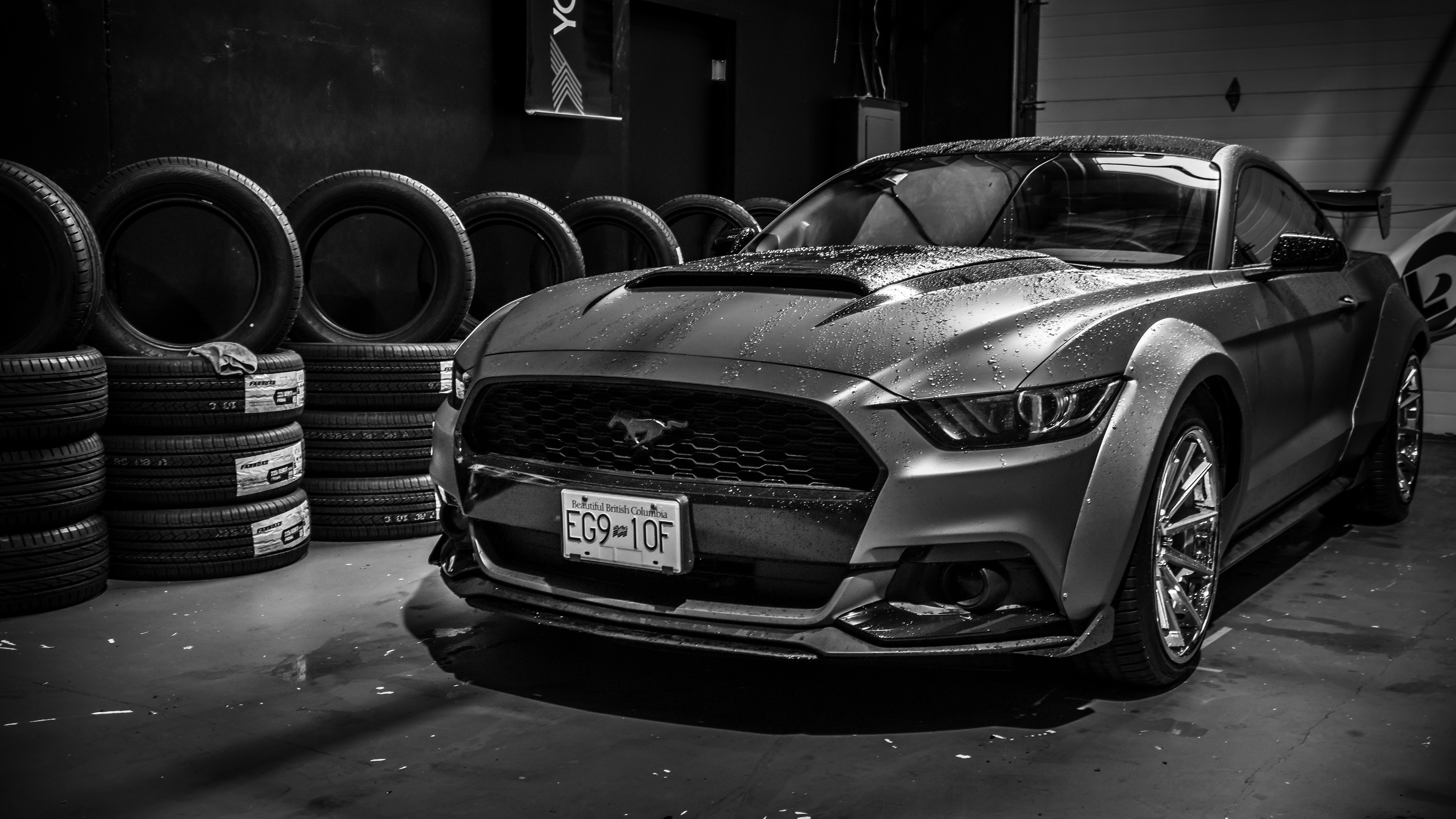 Ford Mustang Monochrome 4k Wallpaper HD Cars Image Photos