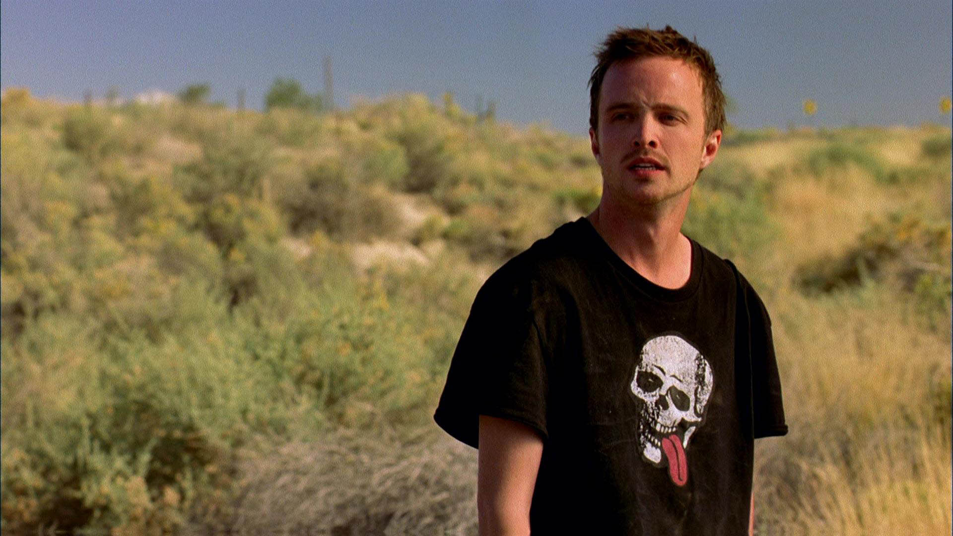 Aaron Paul Wallpaper