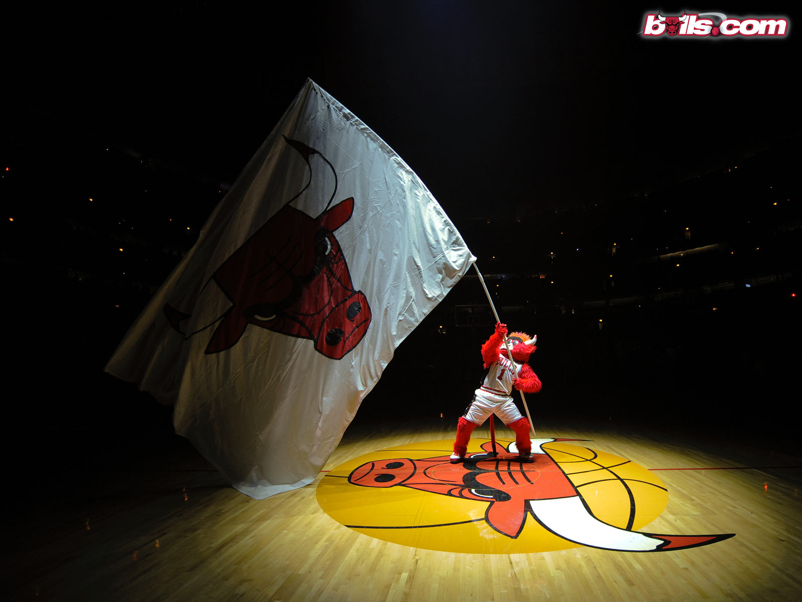 NBA Image as Computer Wallpaper   Chicago Bulls Flag in the Fly Well
