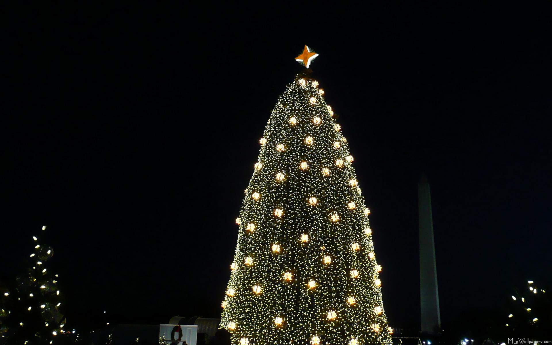 MLeWallpaperscom   National Christmas Tree and Washington