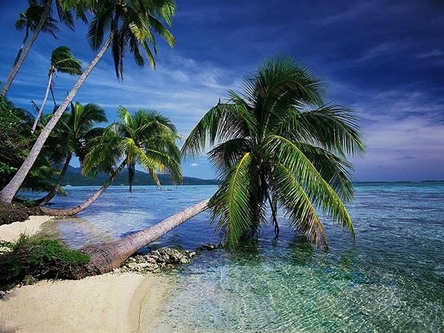Tropical Island Beach Wallpaper
