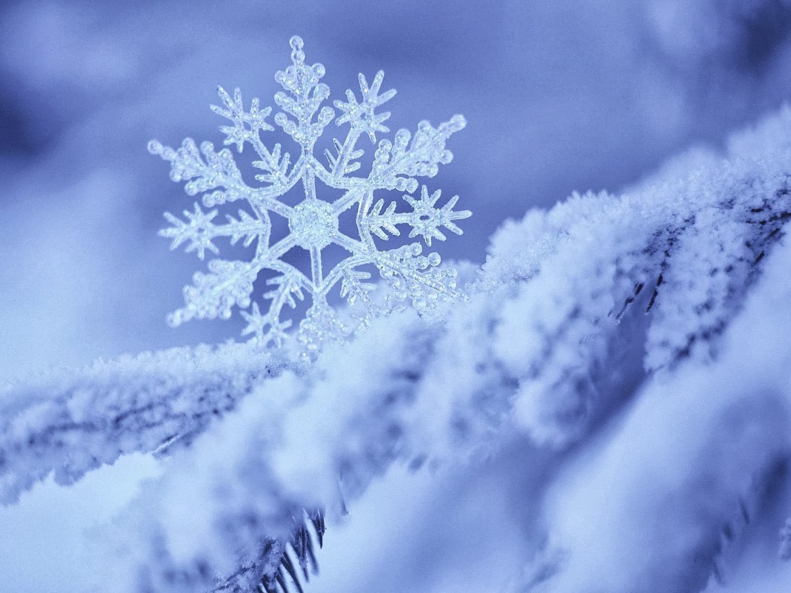 Winter Snowflake Wallpaper High Definition Quality