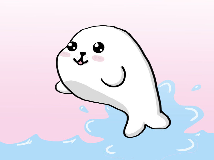 Baby Seal Wallpaper By Shadow Hunter446