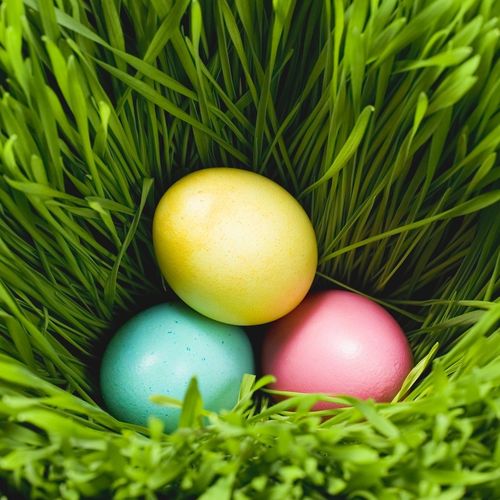 Easter Eggs Deep In The Grass Wallpaper