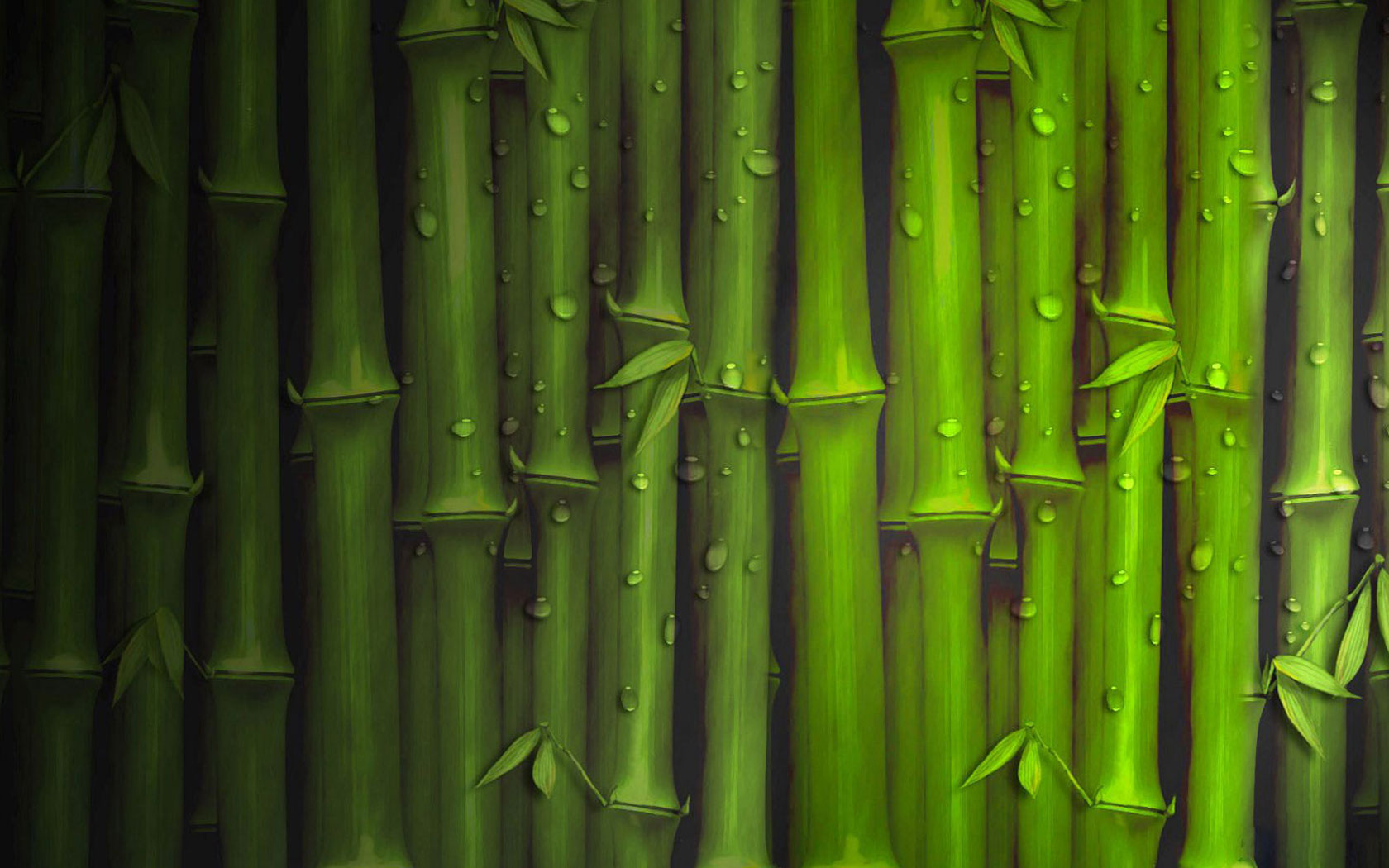 Bamboo Close Up Wallpaper Rhyme Plant Desktop Background