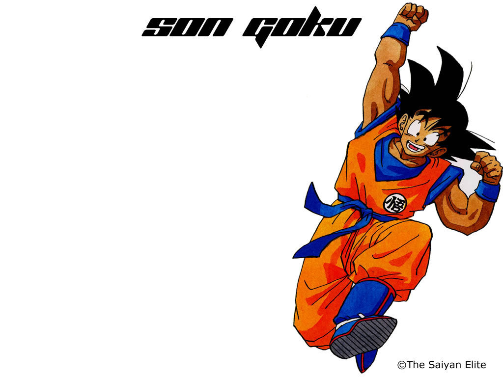Goku   Goku Wallpaper 17136956 1024x768