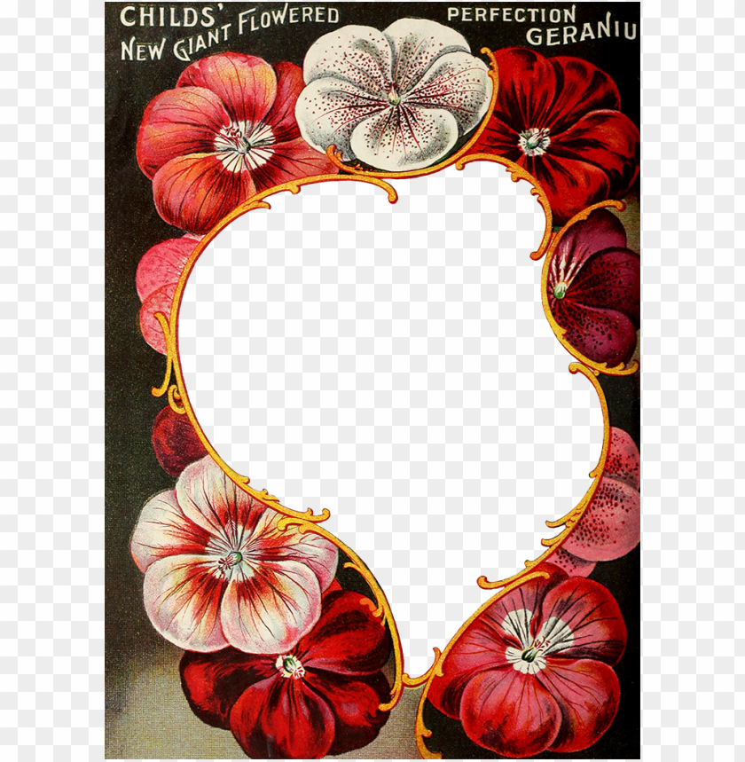 Wings Of Whimsy Floral Desi Png Image With Transparent