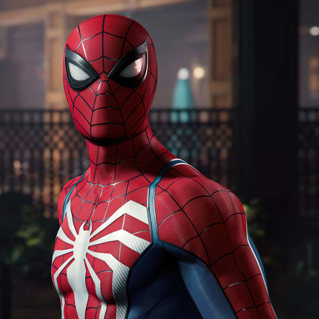 Spiderman Pfp Wallpaper