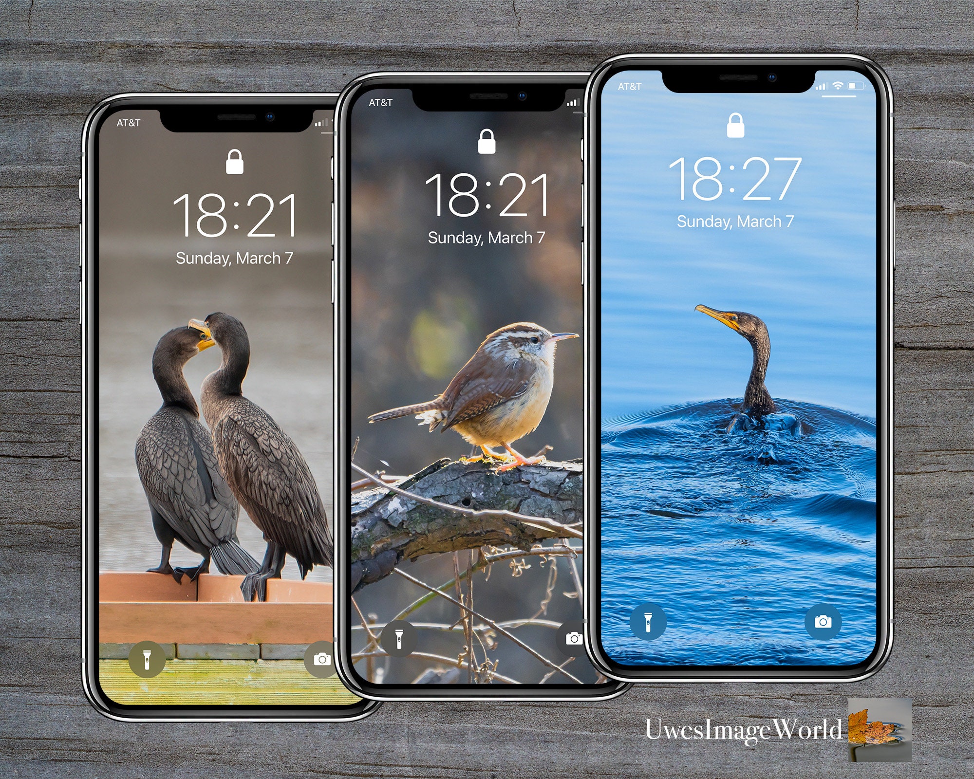 Free download Bird Bundle 3 Nature Photo Cell Phone Wallpapers Iphone
