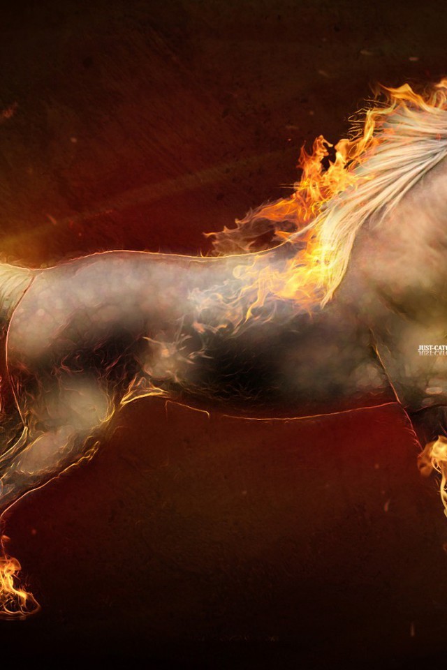 Fire Horses Ponyta Creative Wallpaper Allwallpaper In