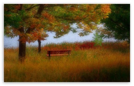 Beautiful Autumn Scenery HD Wallpaper For Standard Fullscreen