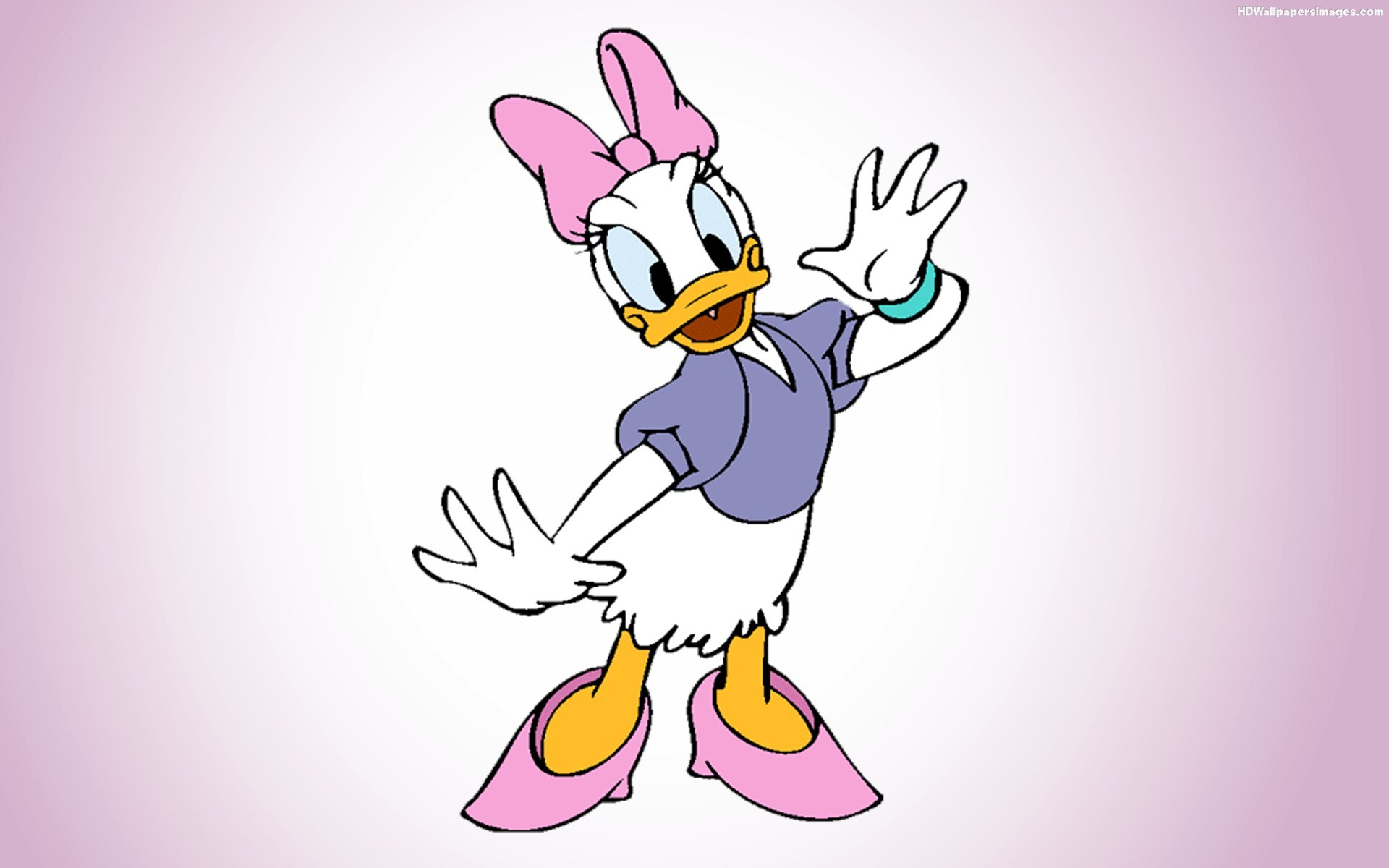 Daisy Duck Wallpaper Cartoon Photography