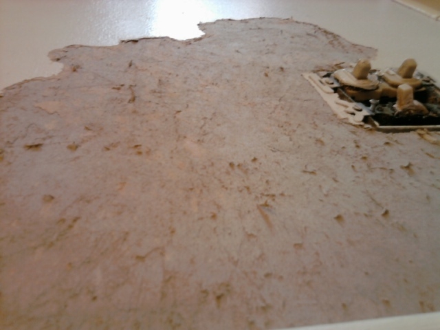Fuzzy drywall after removing wallpaper 640x480