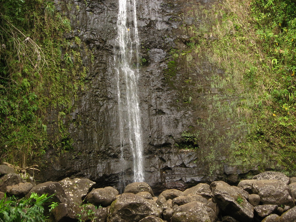Manoa Falls Honolulu Hawaii Is A Waterfall I