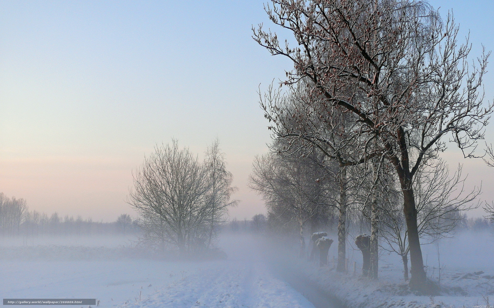 Winter Wallpaper Field Fog Trees Landscape Gdefon