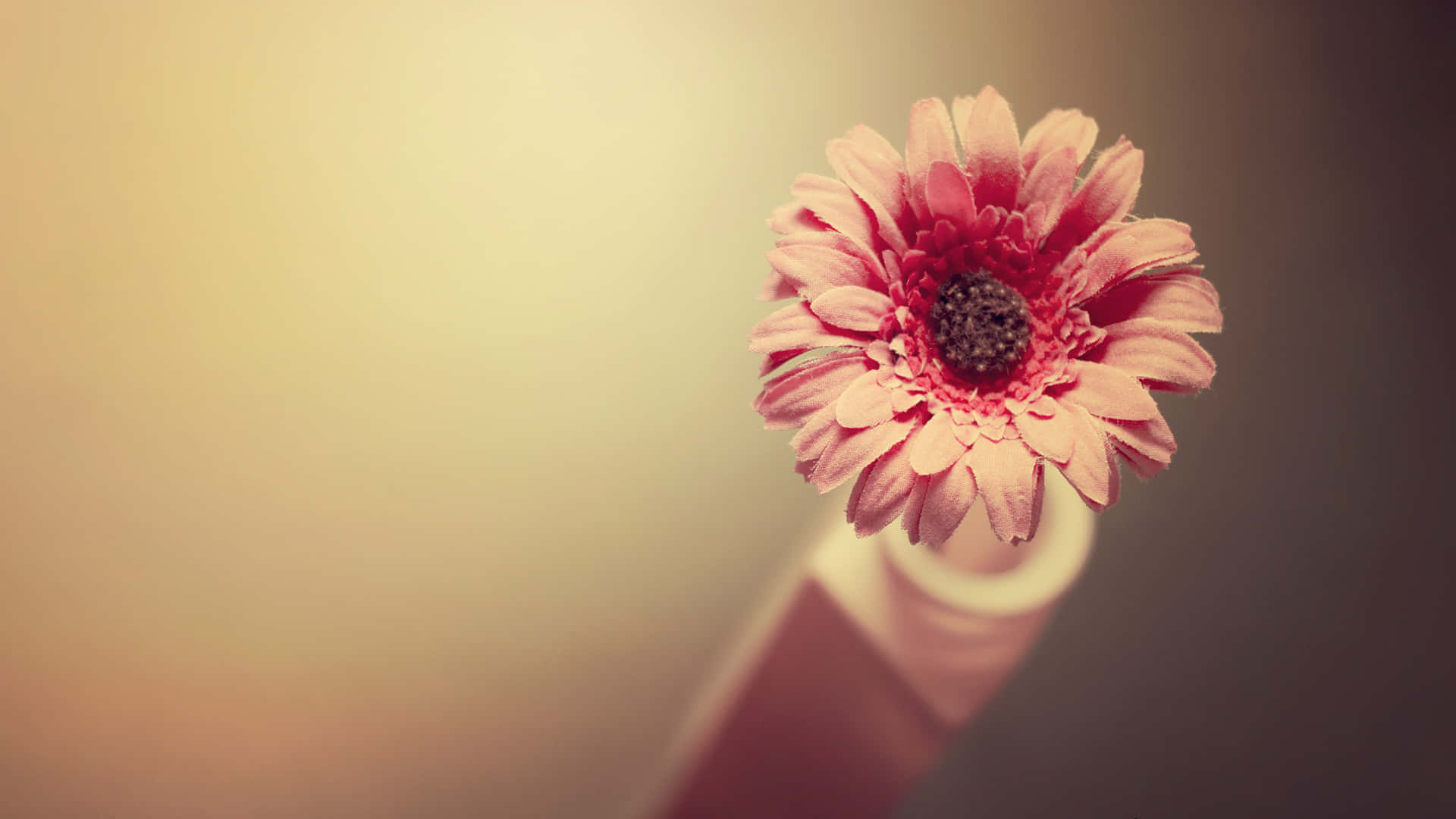 Simple Flower Wallpaper