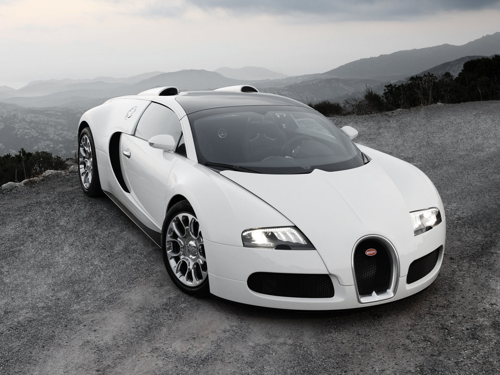 Bugatti Veyron Wallpaper Cars