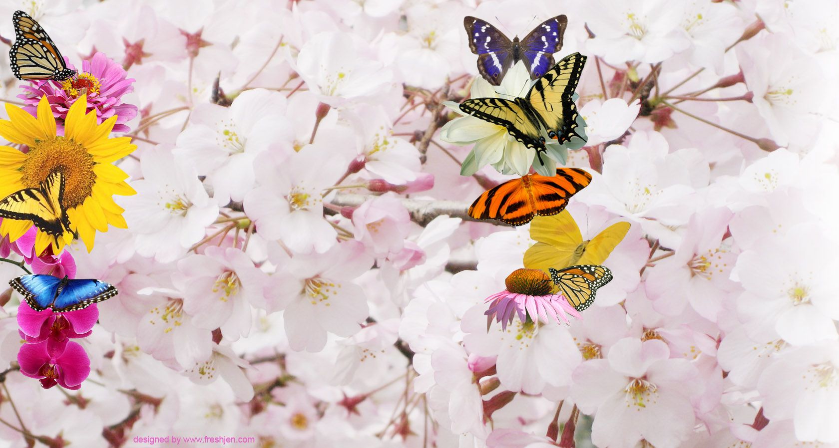 Background Butterfly Nature High Quality