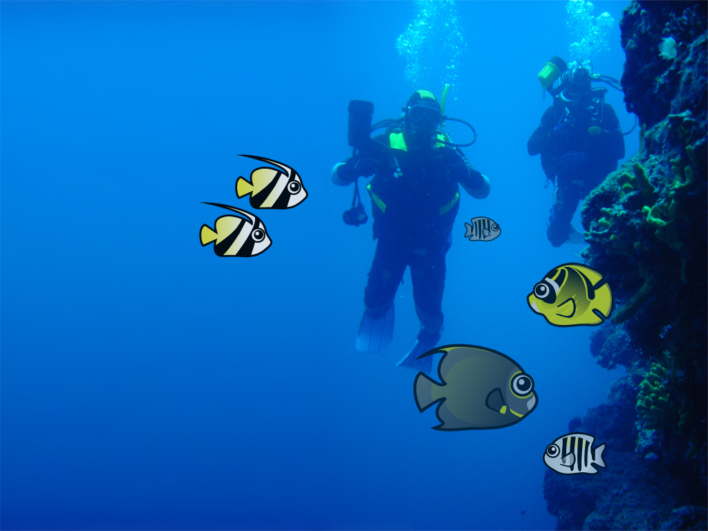 Scuba Divers Desktop Wallpaper Scubadorable
