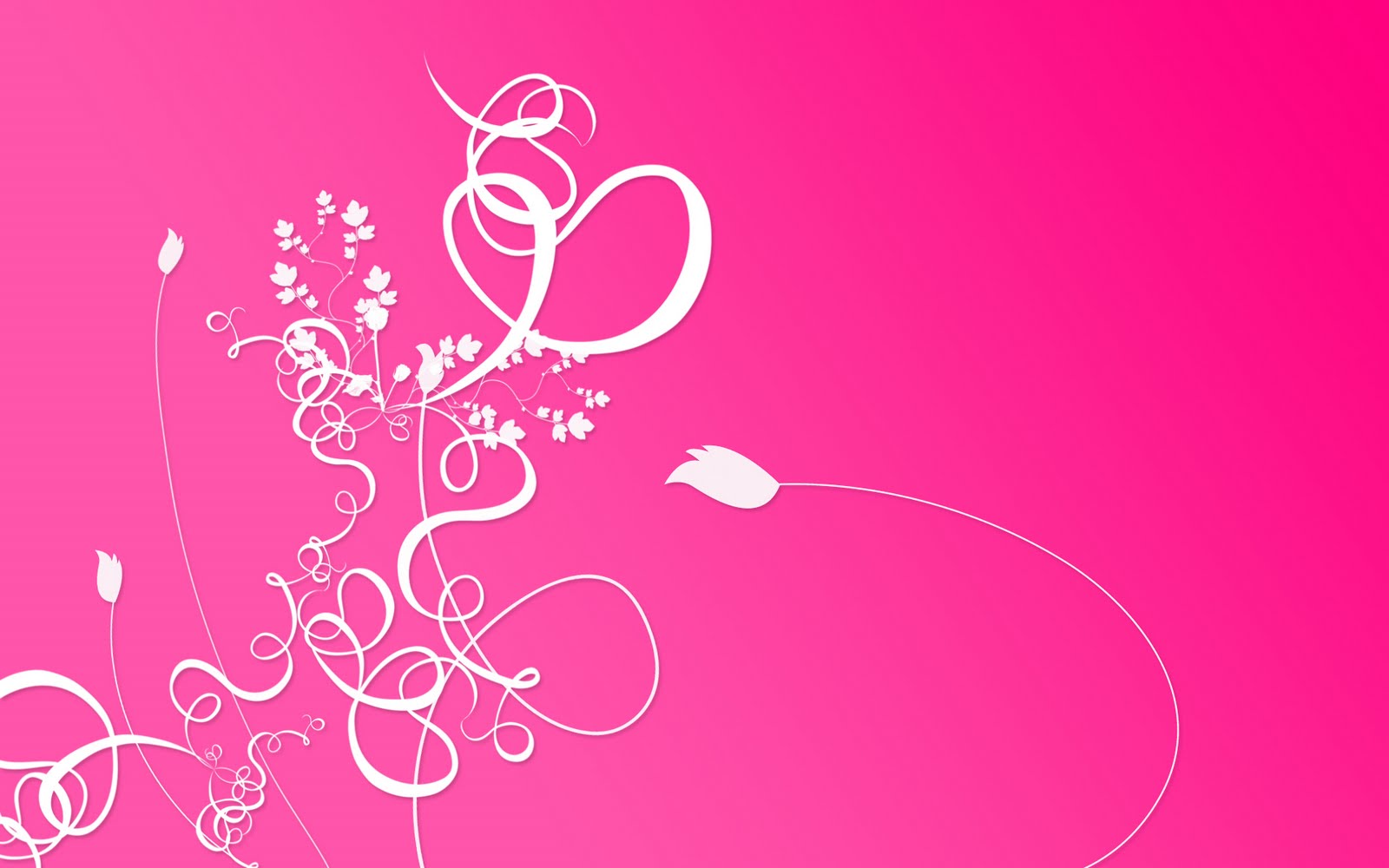 Pink White Floral HD Wallpaper here you can see Abstract Pink