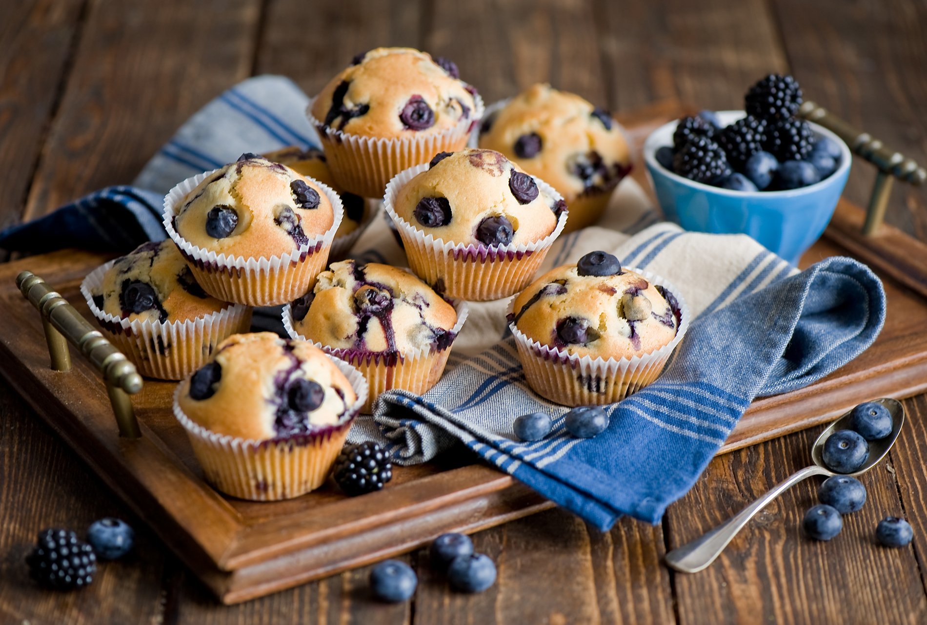 Blueberry Muffin Wallpaper And Background Image Id