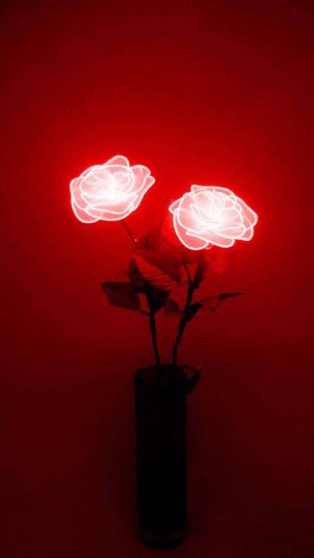 Red Hot Cute Wallpaper For Lovers Of The Color