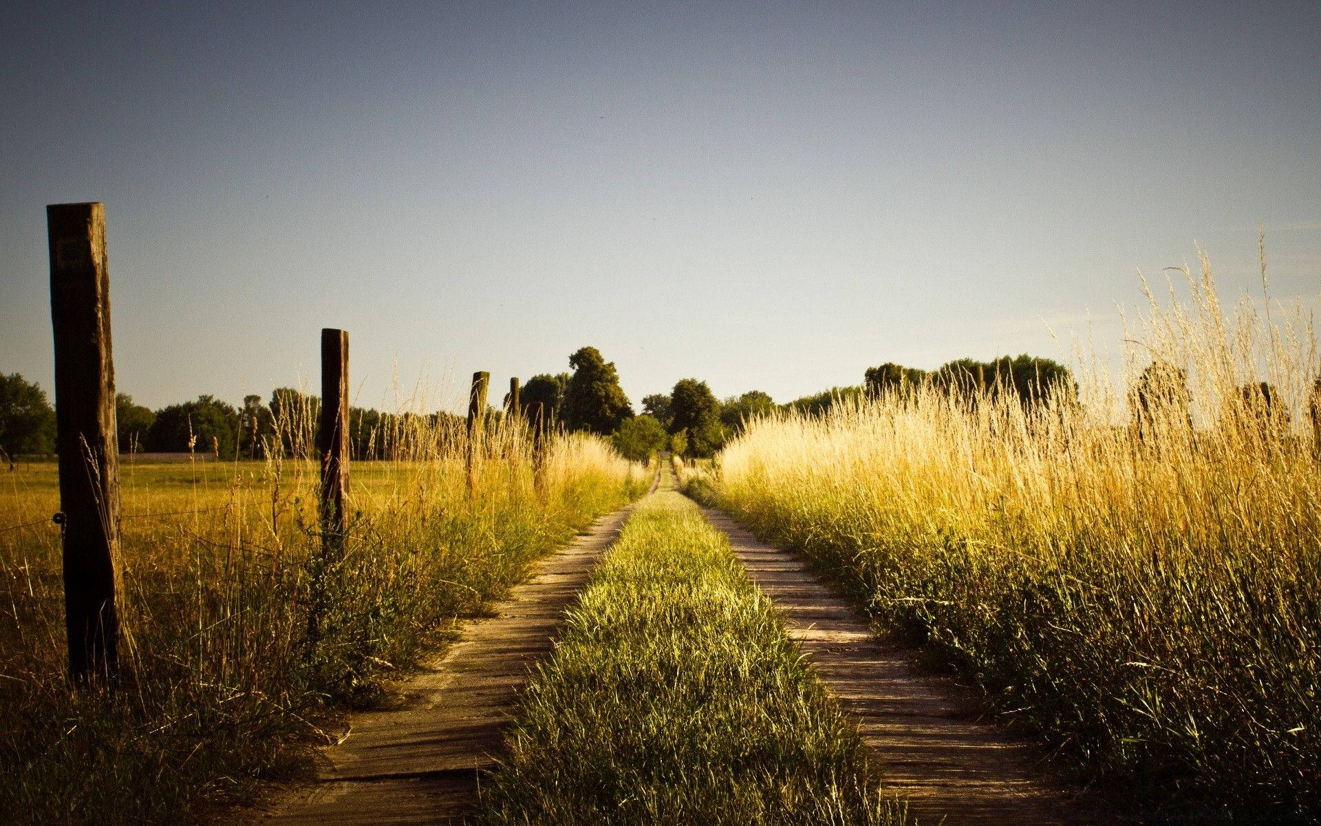 Country Road Wallpaper