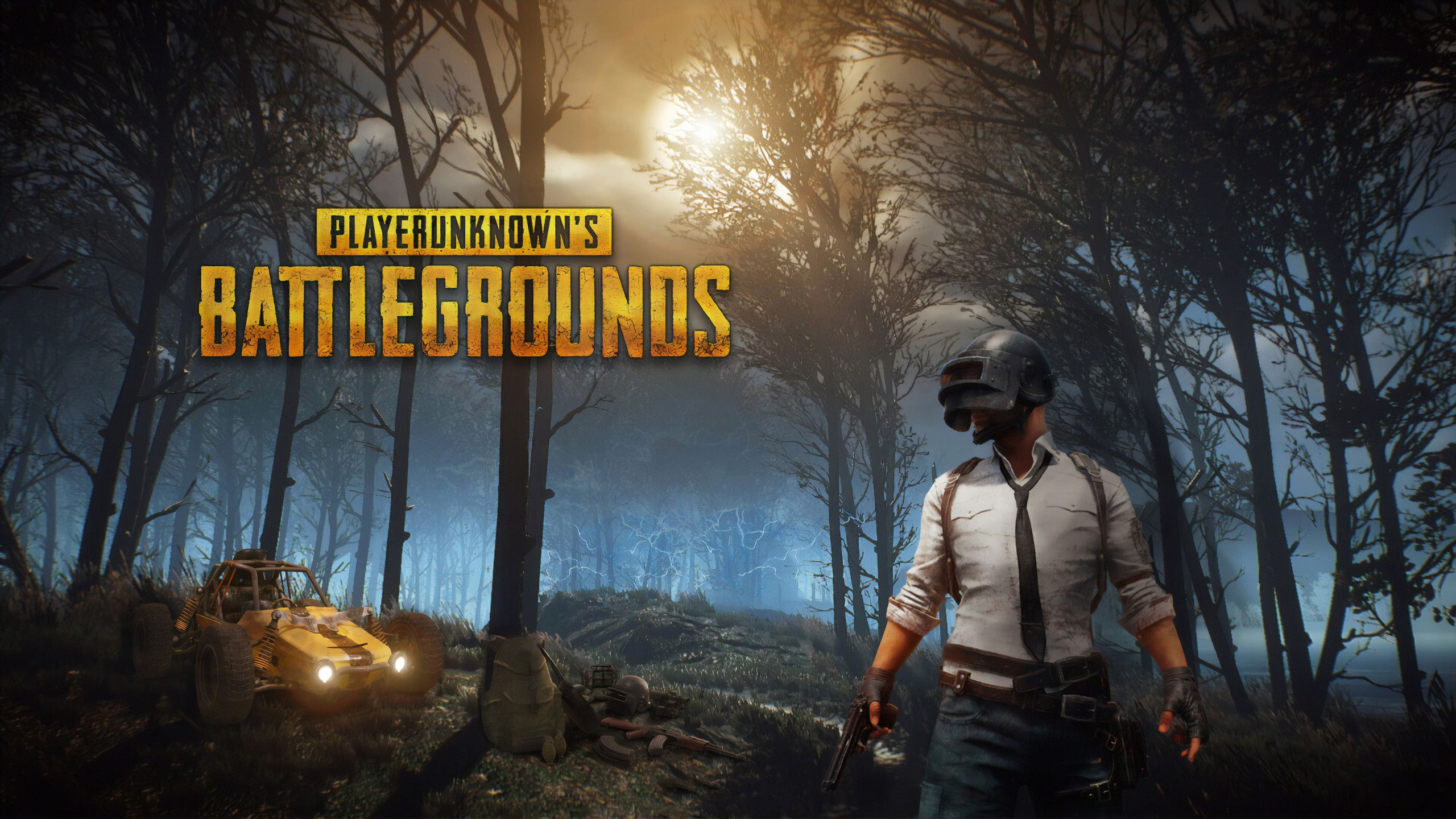 Pubg Wallpaper