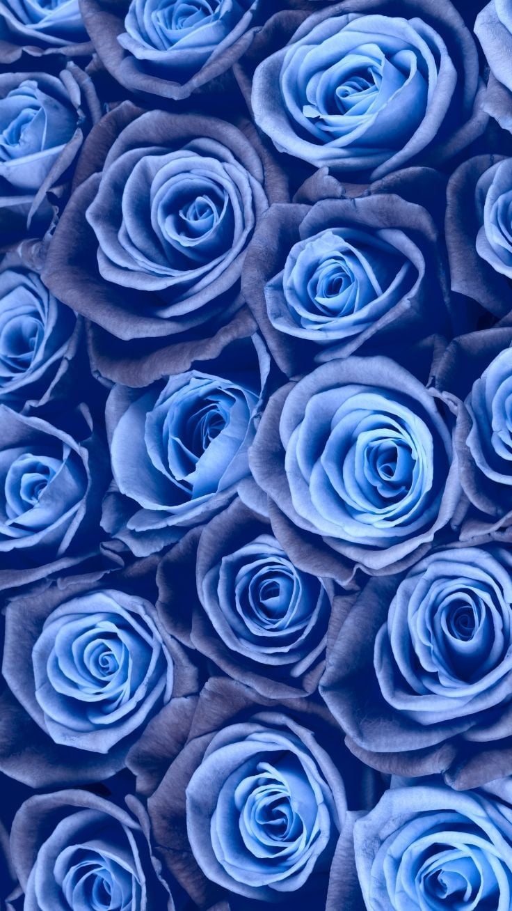 12 Gorgeous Floral iPhone Xs Wallpapers Preppy Wallpapers Blue