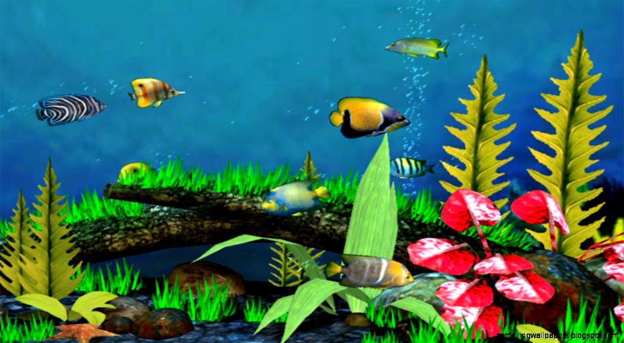3d Fish Wallpaper Desktop Amazing