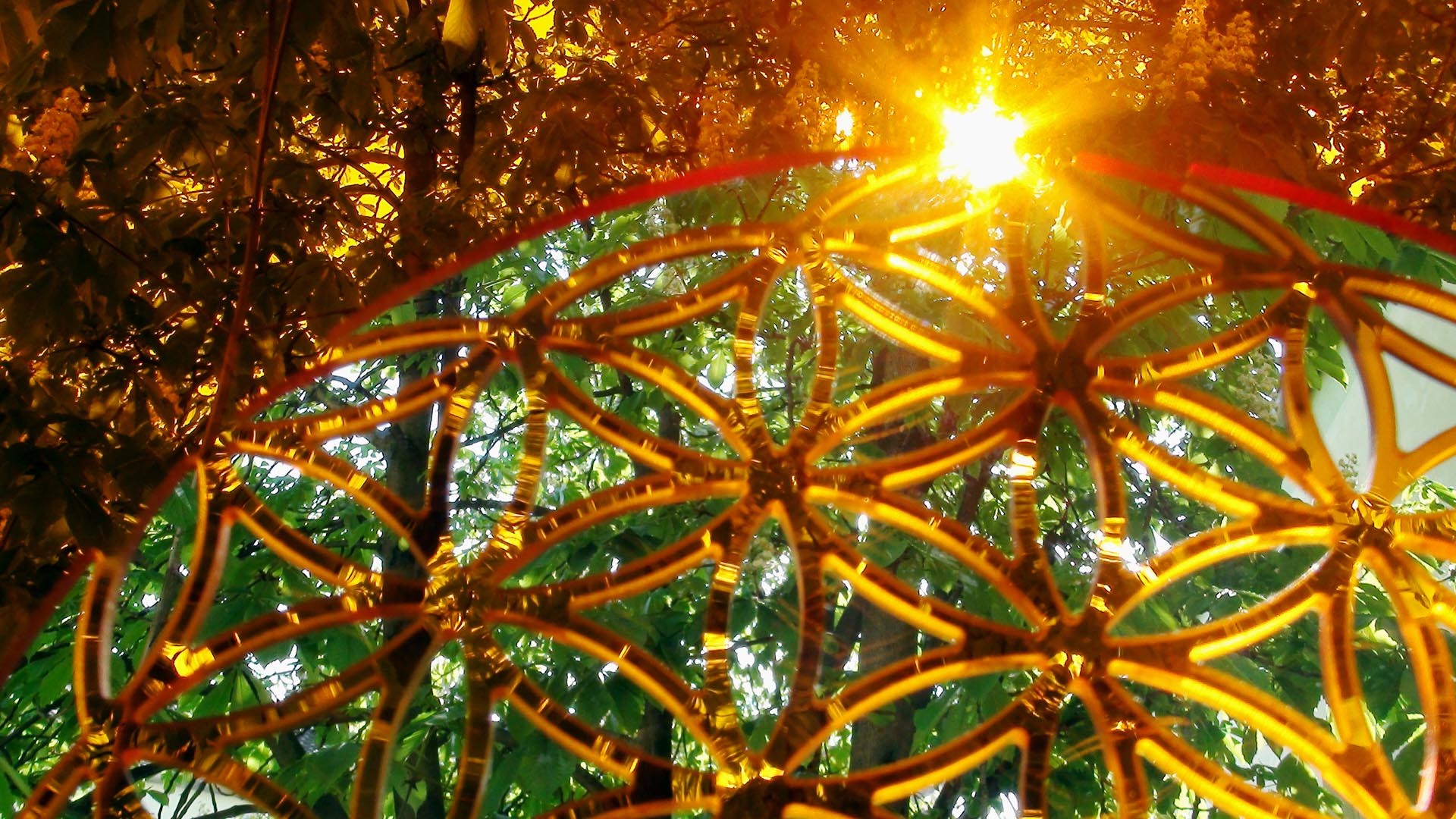 Flower Of Life Wallpaper