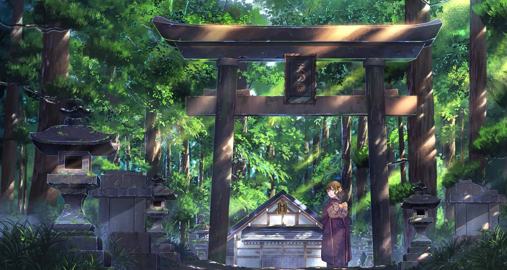 Top Torii Gate Wallpaper Full HD 4k To Use