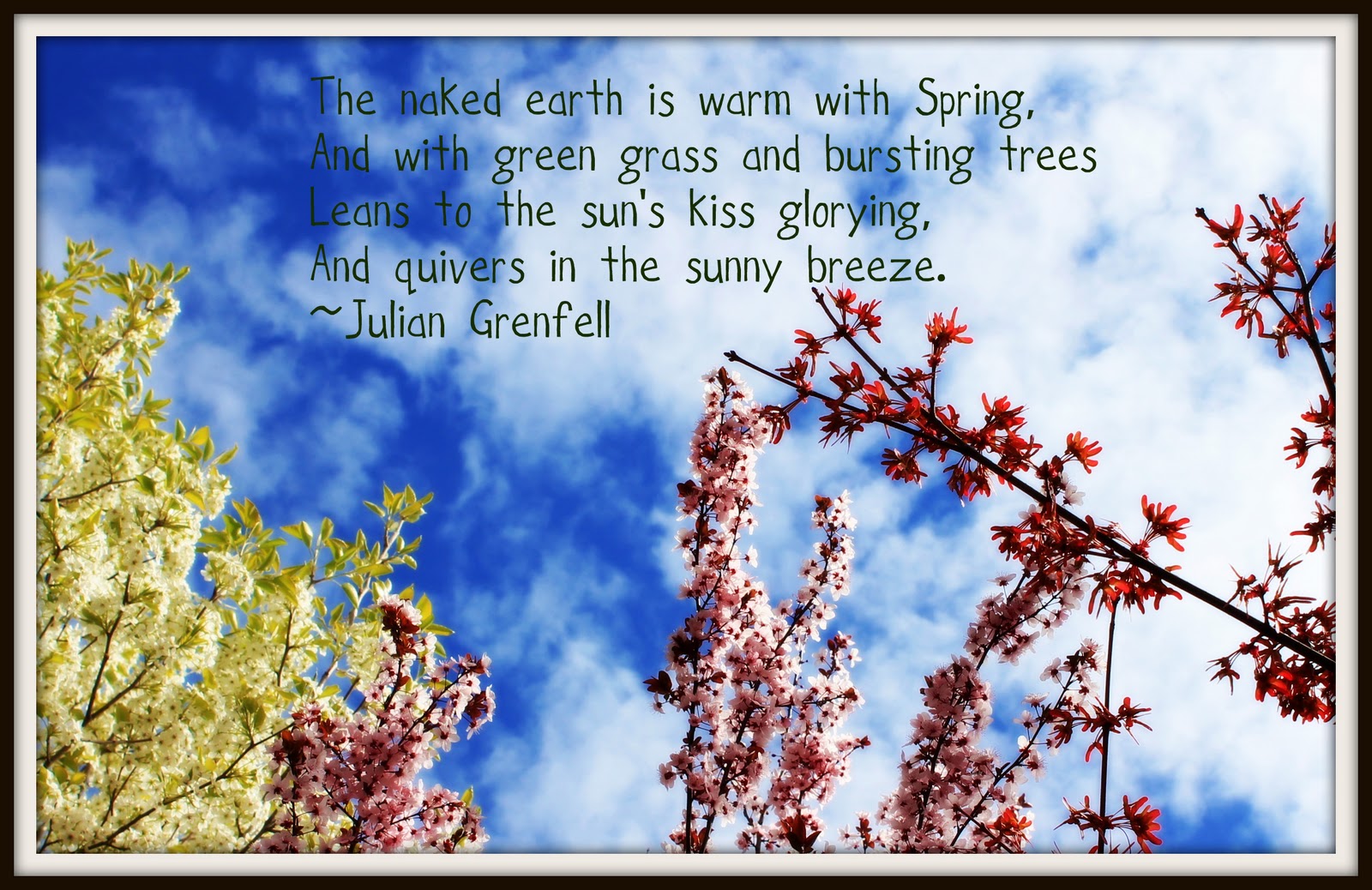 Spring Quotes On For