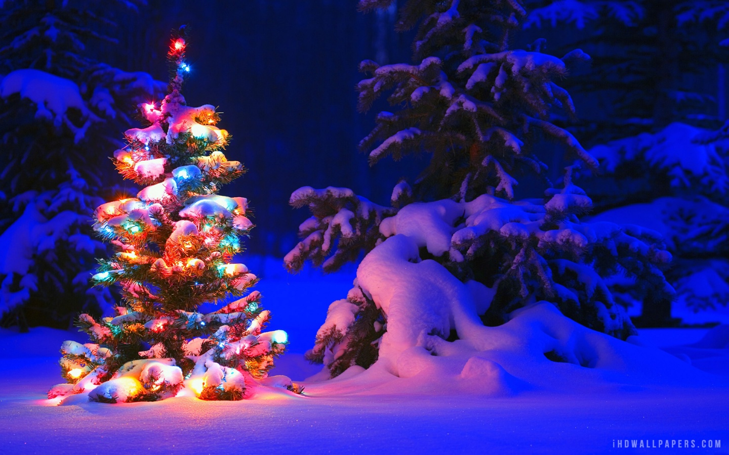 Snow And Lights On Christmas Tree HD Wallpaper IHD