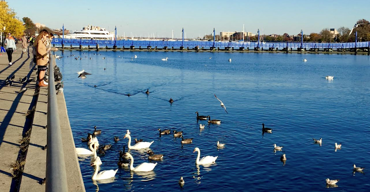 Neighborhoods Sheepshead Bay Brooklyn Eagle