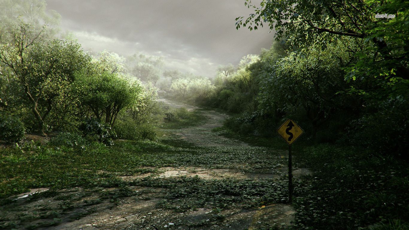Overgrown Road Happy Background Country Roads Plant